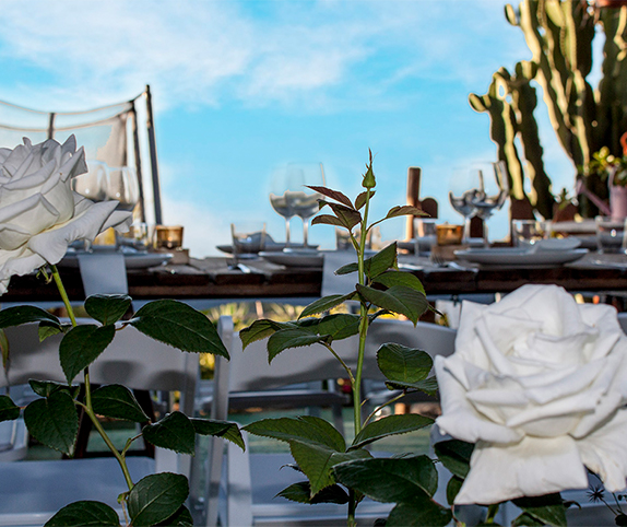 Fotografía flores con mesa